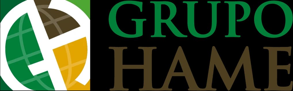 Grupo Hame