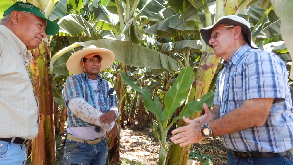 Technical Assistance